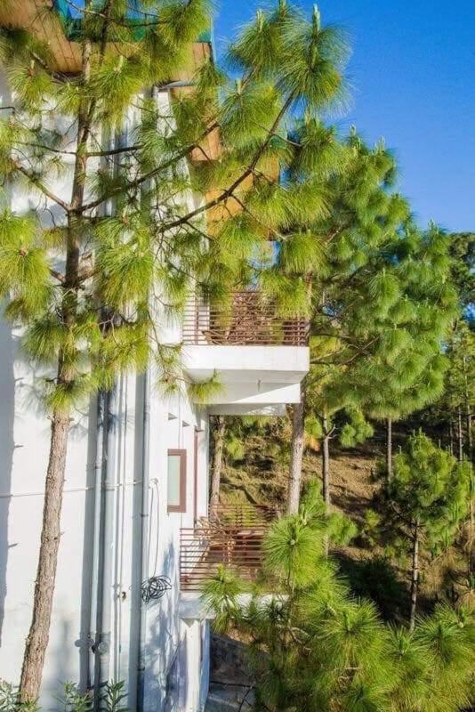 Pinewood 2Bhk Cottage Касаули Екстериор снимка